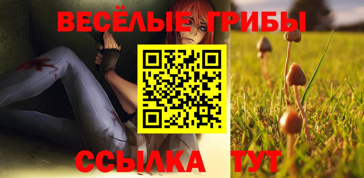 Галлюциногенные грибы Psilocybine cubensis  купить наркоту  Галлюциногенные грибы мицелий  Можайск  Вход с VPN 